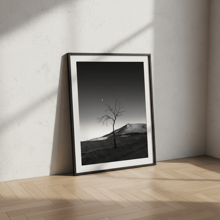 Warraweena - Moon Tree by Steven Scott wall - art - picture - poster