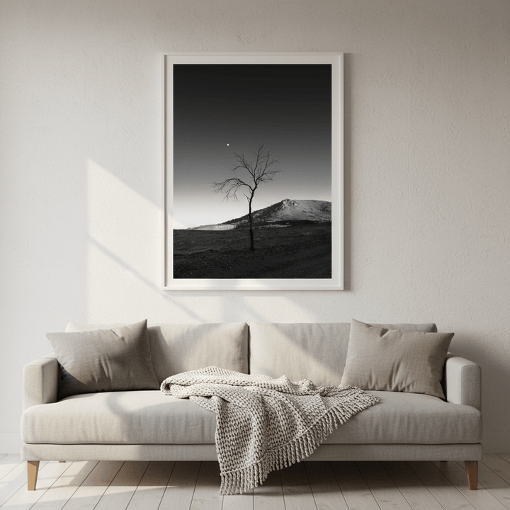 Warraweena - Moon Tree by Steven Scott wall - art - picture - poster