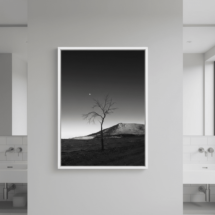 Warraweena - Moon Tree by Steven Scott wall - art - picture - poster
