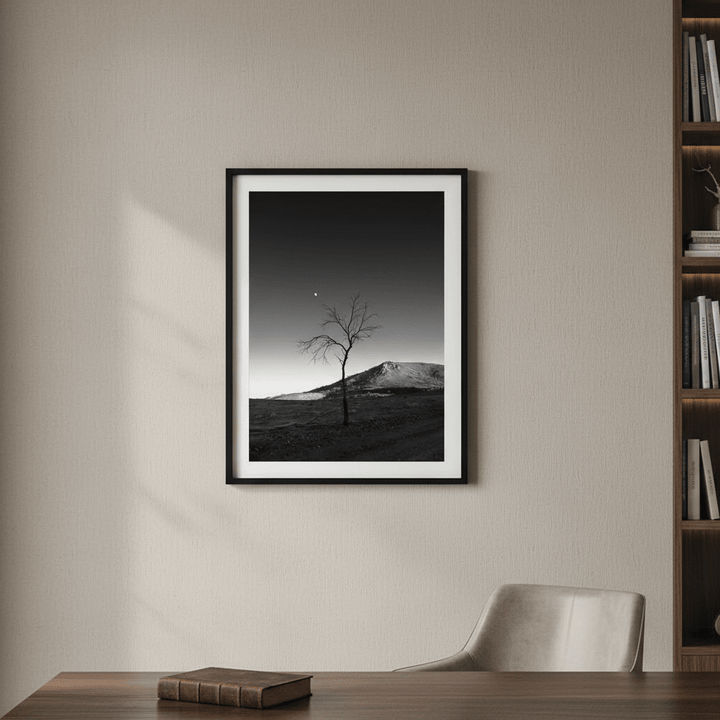 Warraweena - Moon Tree by Steven Scott wall - art - picture - poster