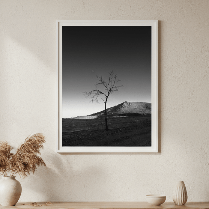 Warraweena - Moon Tree by Steven Scott wall - art - picture - poster