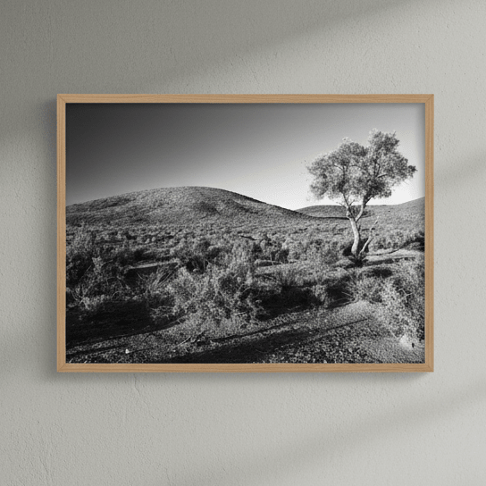 Warraweena - Outback Hills by Steven Scott