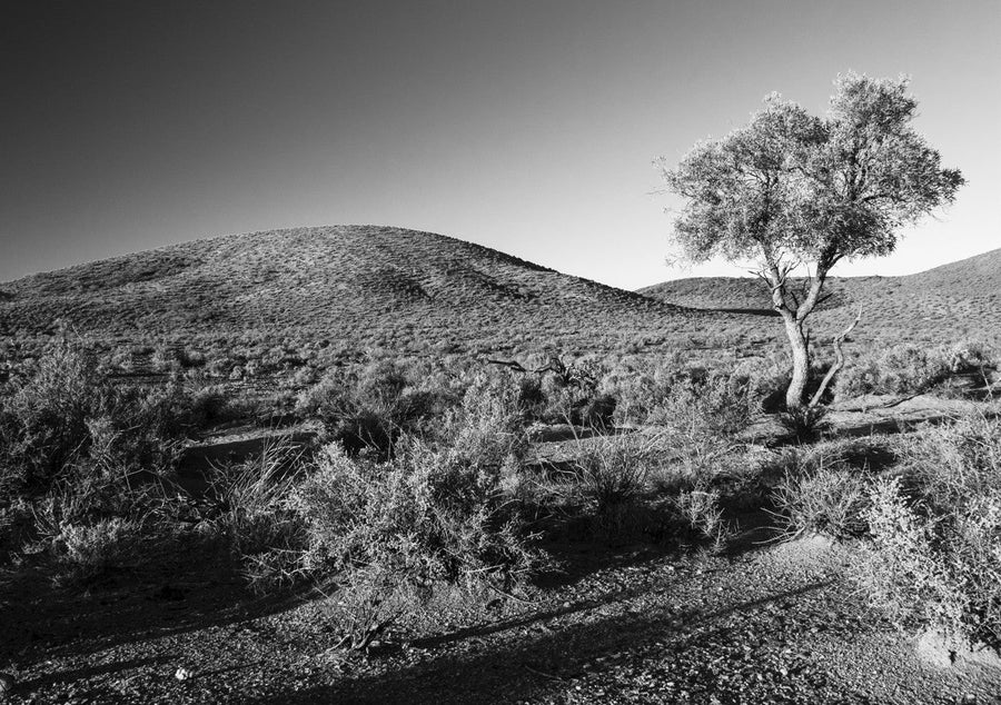 Warraweena - Outback Hills by Steven Scott