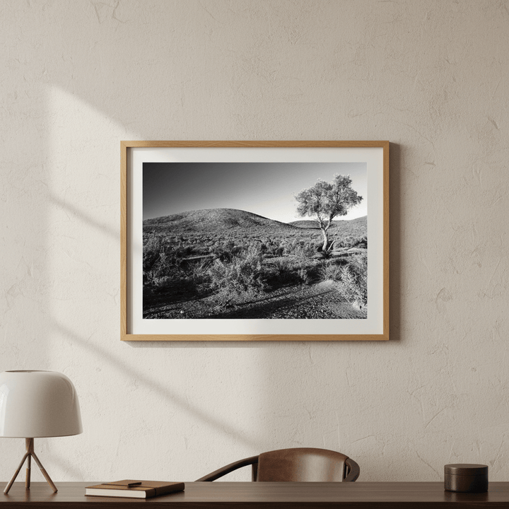 Warraweena - Outback Hills by Steven Scott wall - art - picture - poster