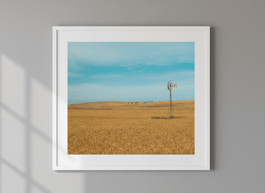 Contemporary wall art featured in a bright modern office workspace