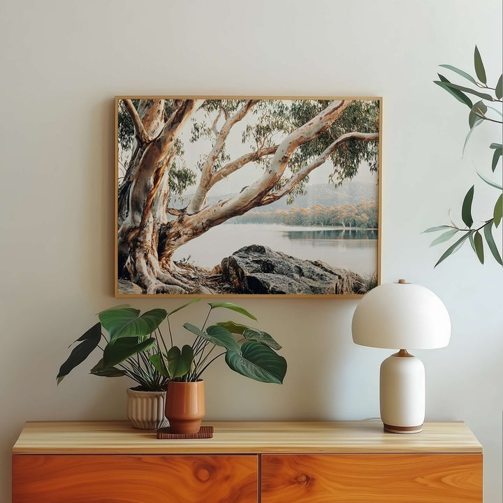 Whispers of the Bush Australia by Julian Van Bausch wall - art - picture - poster