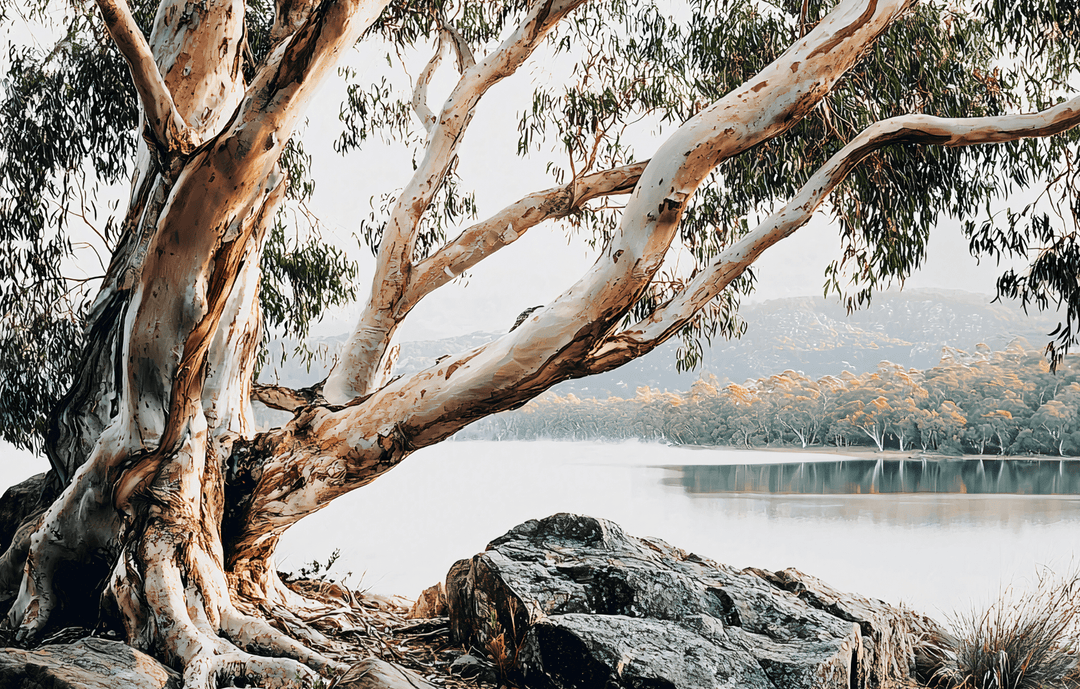 Whispers of the Bush Australia by Julian Van Bausch Outback Australia Tree Late Serene Nature Landscape frame