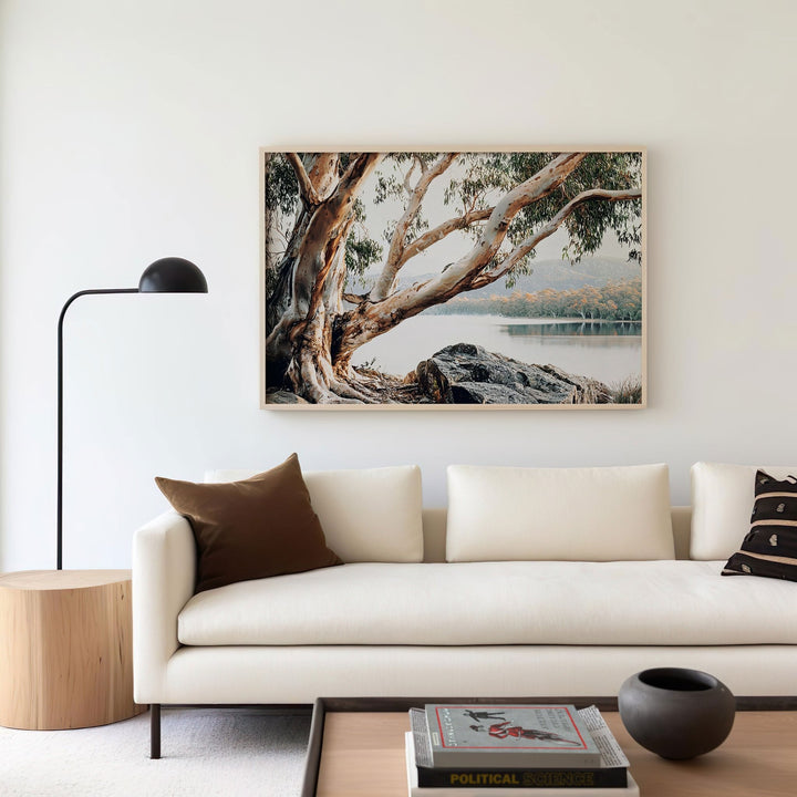 Whispers of the Bush Australia by Julian Van Bausch wall - art - picture - poster