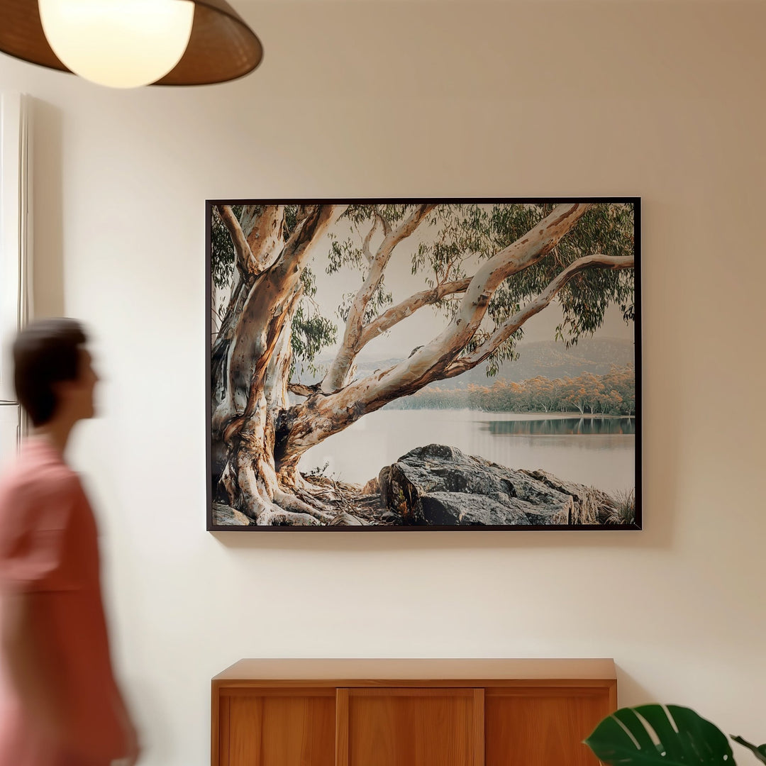 Whispers of the Bush Australia by Julian Van Bausch wall - art - picture - poster
