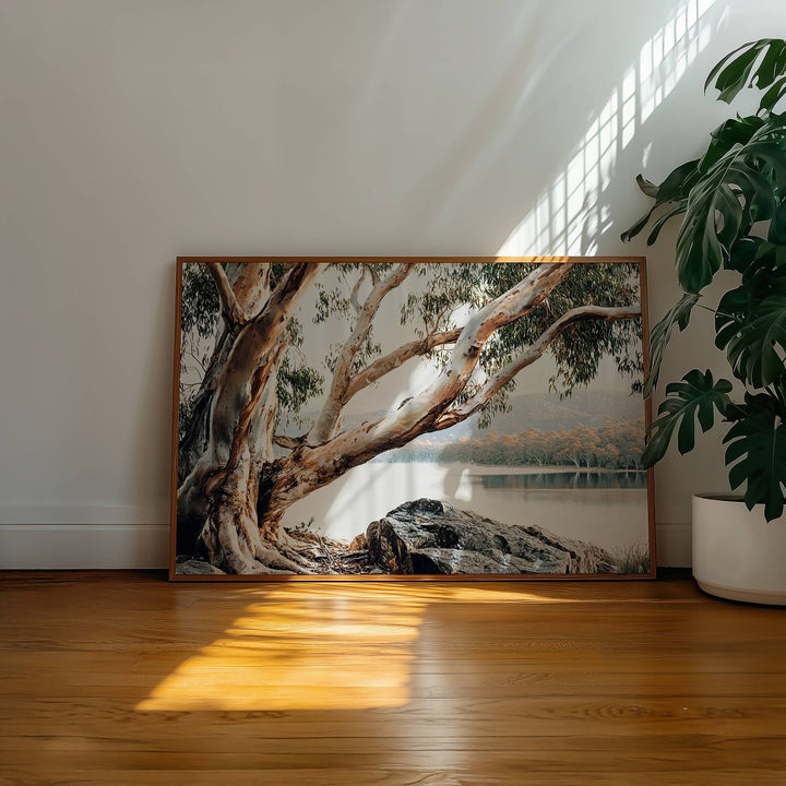 Whispers of the Bush Australia by Julian Van Bausch wall - art - picture - poster