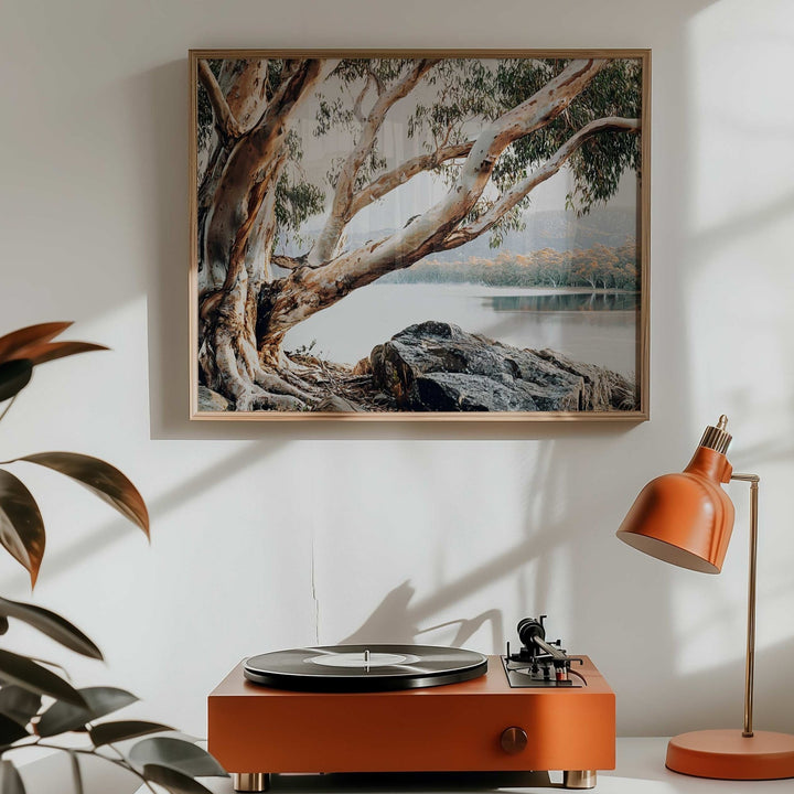 Whispers of the Bush Australia by Julian Van Bausch wall - art - picture - poster