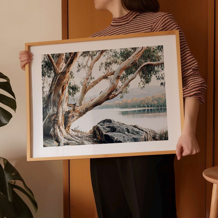 Whispers of the Bush Australia by Julian Van Bausch wall - art - picture - poster