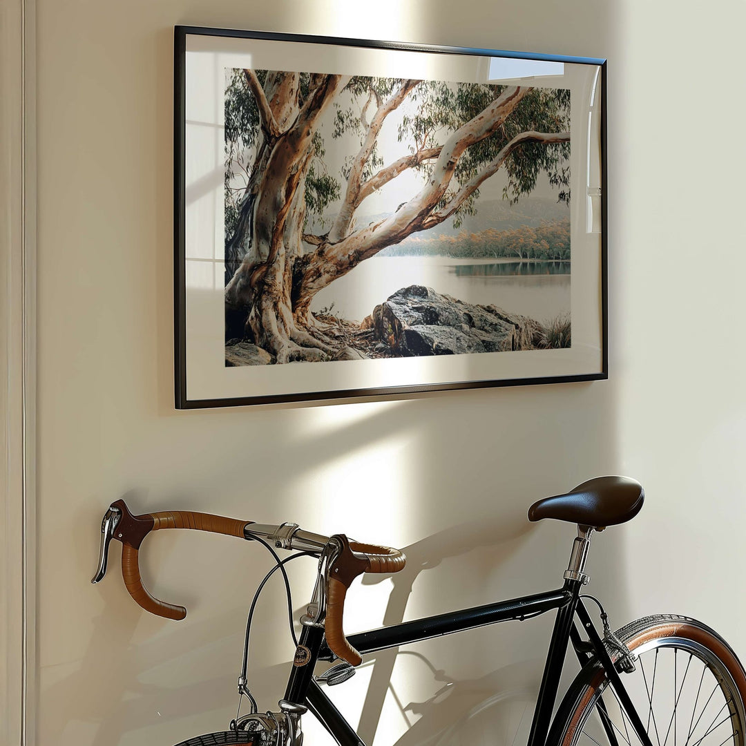 Whispers of the Bush Australia by Julian Van Bausch wall - art - picture - poster