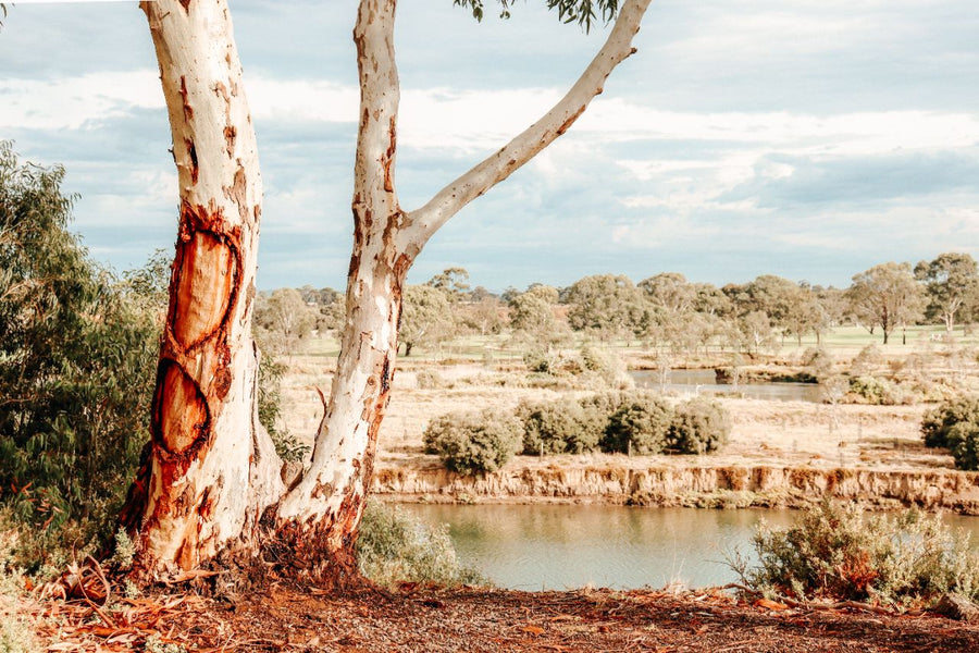 Whispers of the Bush Australia