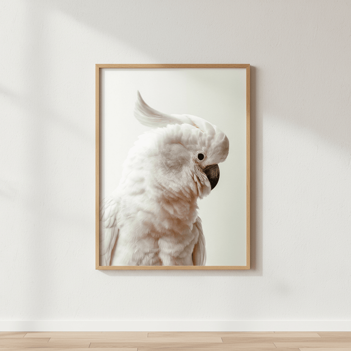 White Cockatoo Portrait wall - art - picture - poster