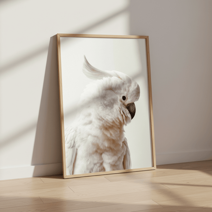 White Cockatoo Portrait wall - art - picture - poster