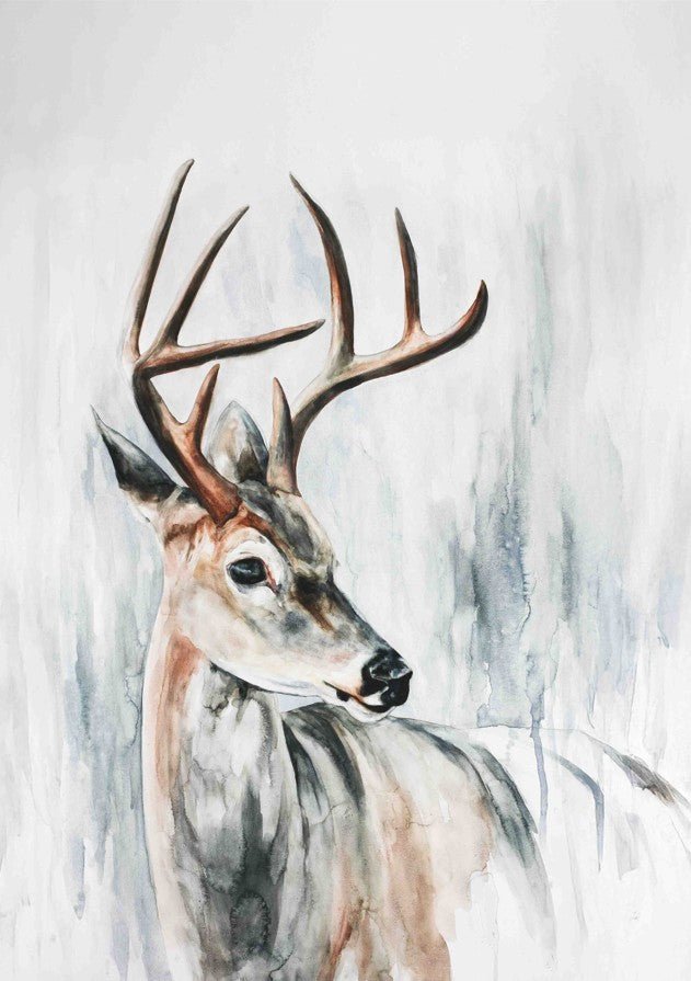 Whitetail Deer by Meredith O'Neal