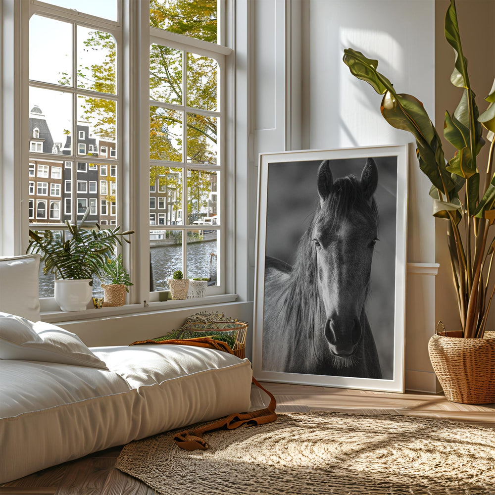 Living room with a horse portrait on the wall, large window, and plants.