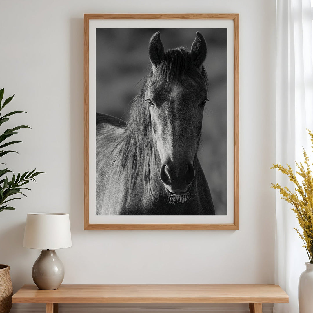 black and white horse portrait on a wall above a wooden bench with decorative plants and a lamp.