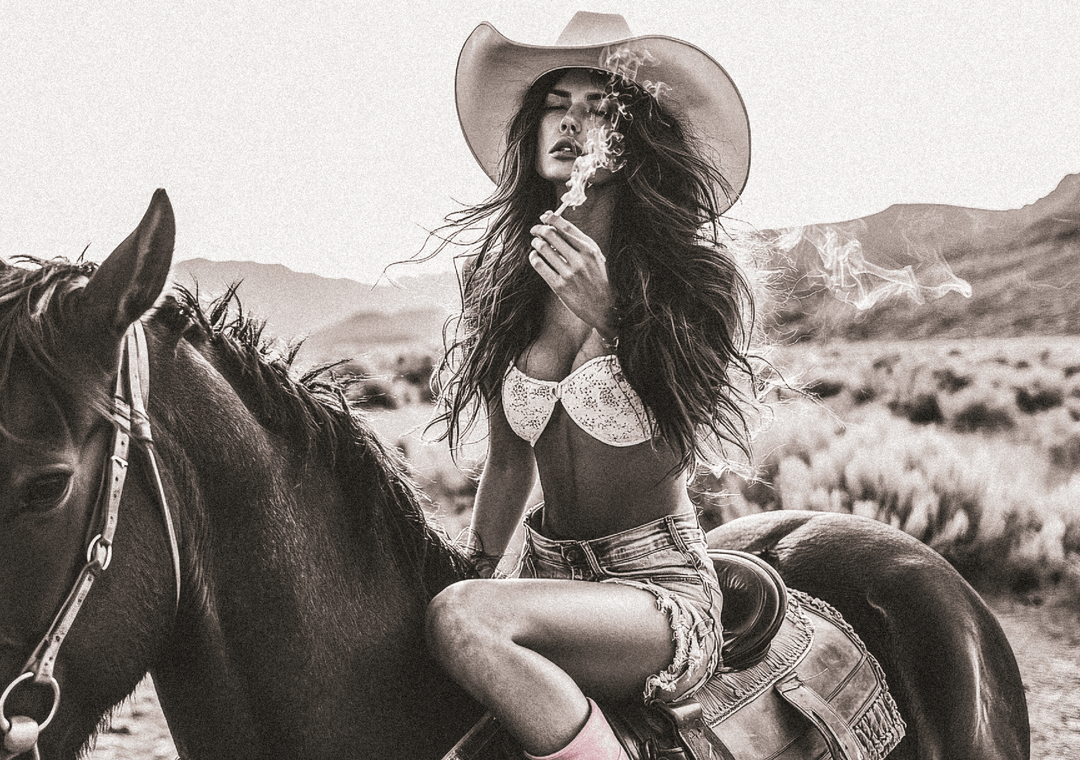 Wild Ride Large Photograph Outlaw Desert Horse frame