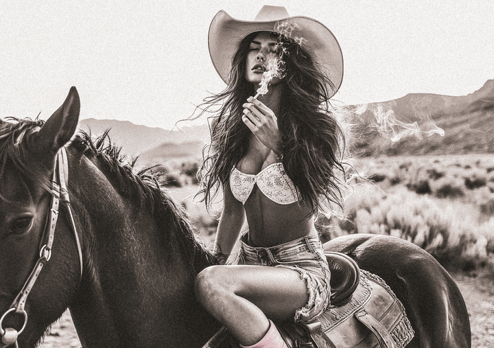 Wild Ride Large Photograph Outlaw Desert Horse frame