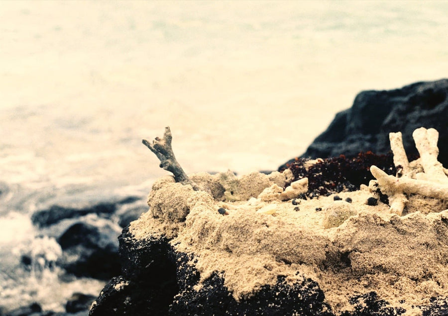 Zen Sand By byDai