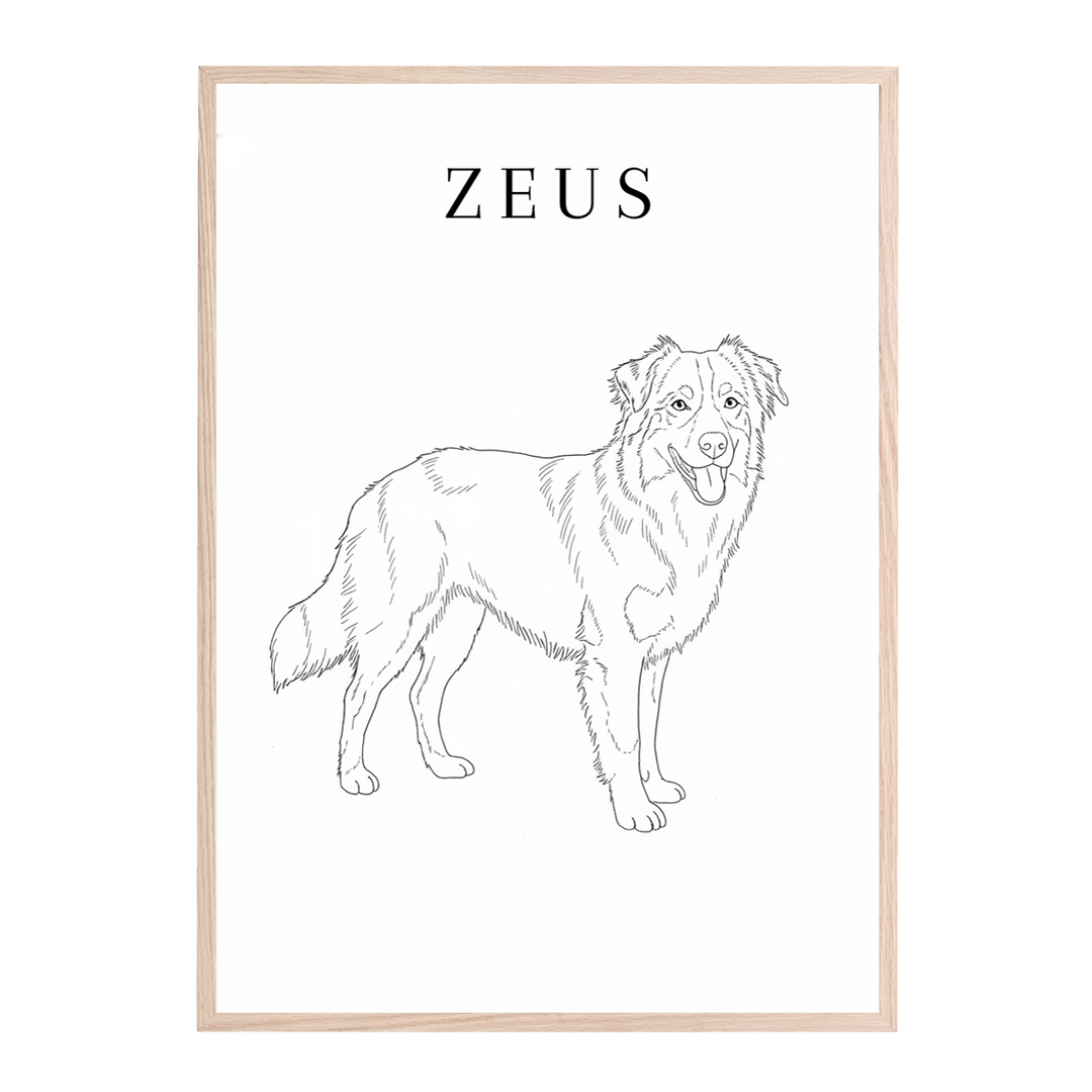 Line Art Pet Drawing Personalised Wall Art