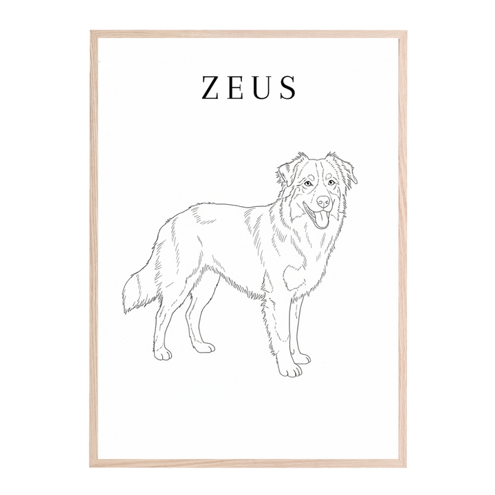 Line Art Pet Drawing Personalised Wall Art